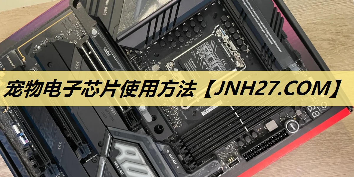宠物电子芯片使用方法