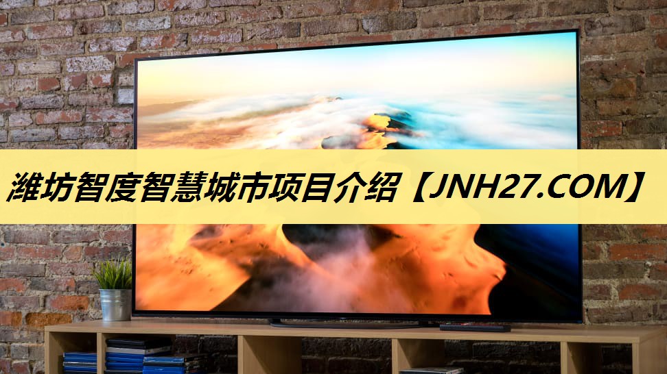 潍坊智度智慧城市项目介绍