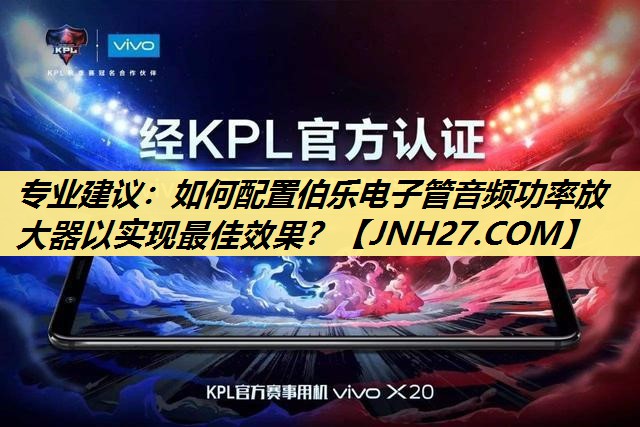 专业建议:如何配置伯乐电子管音频功率放大器以实现最佳效果? 专业建议:如何配置伯乐电子管音频功率放大器以实现最佳效果?