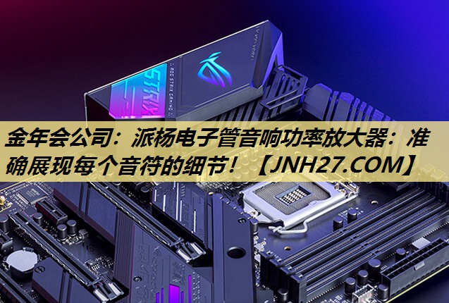 派杨电子管音响功率放大器:准确展现每个音符的细节! 派杨电子管音响功率放大器:准确展现每个音符的细节!