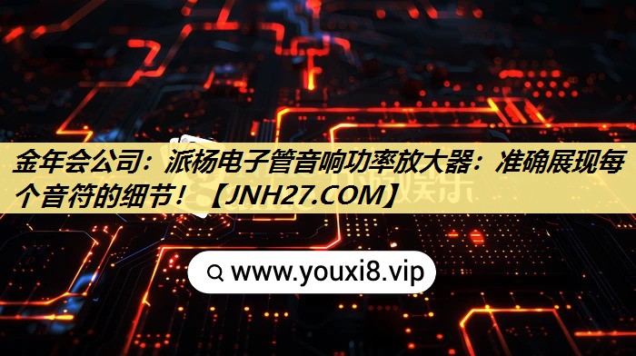 派杨电子管音响功率放大器:准确展现每个音符的细节! 派杨电子管音响功率放大器:准确展现每个音符的细节!